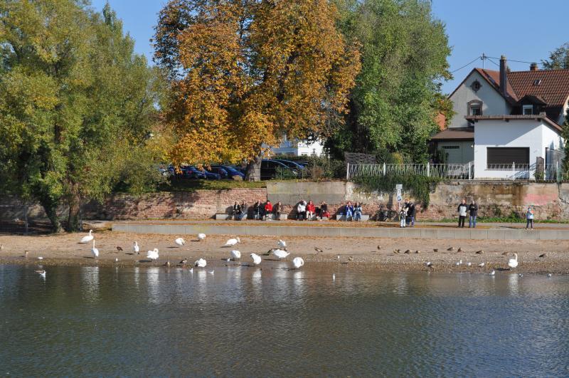 20111022_ladenburg_nazomer